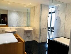 The Colonnade (D10), Condominium #496317071